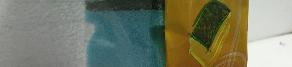domestic-sponge-x5